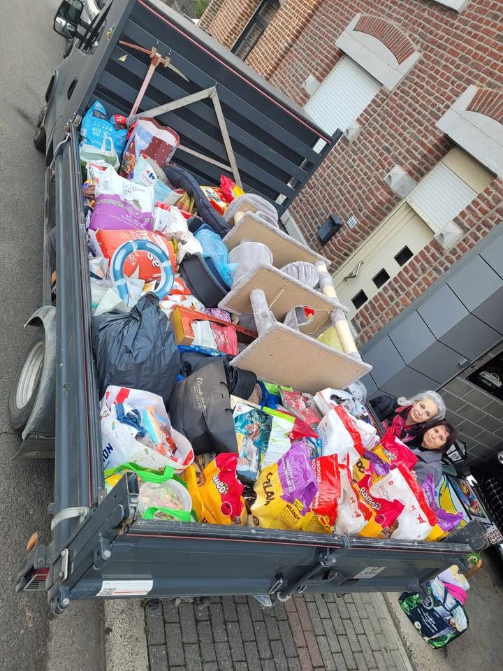 Odoo image et bloc de texte